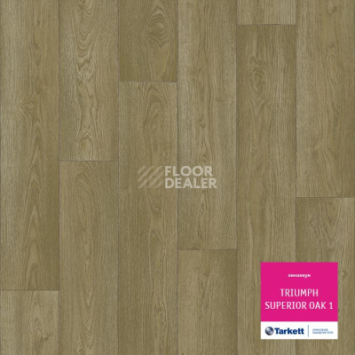 Линолеум Tarkett Triumph SUPERIOR OAK 1 фото 1 | FLOORDEALER